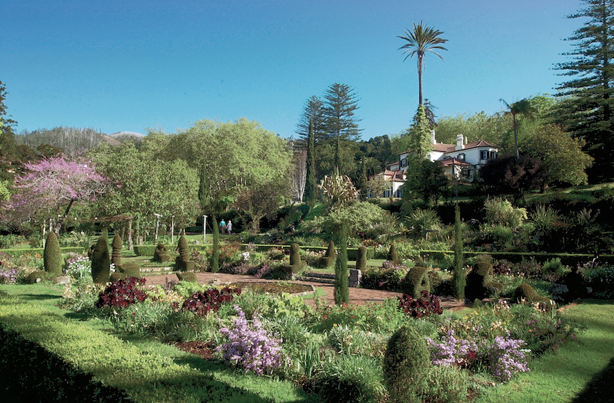 Discovering the flamboyant gardens of Madeira Island