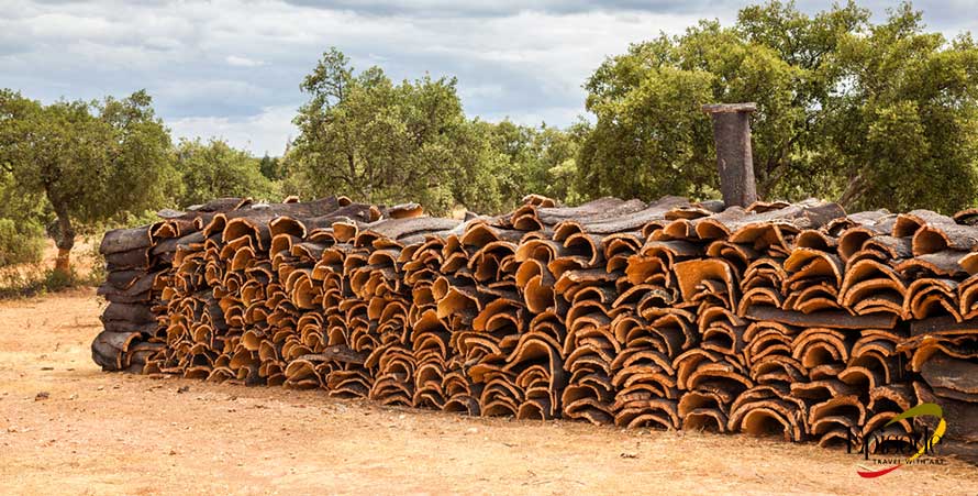Cork Harvesting in Alentejo: Private Tours in Portugal