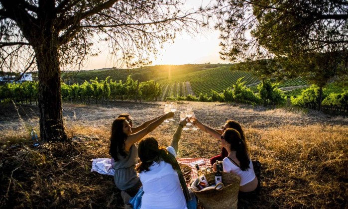 Tailor-Made Tours in Portugal: Wine Families